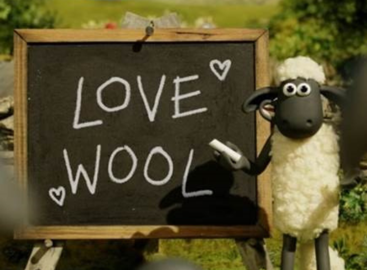 Educating Consumers on the Wonders of Wool