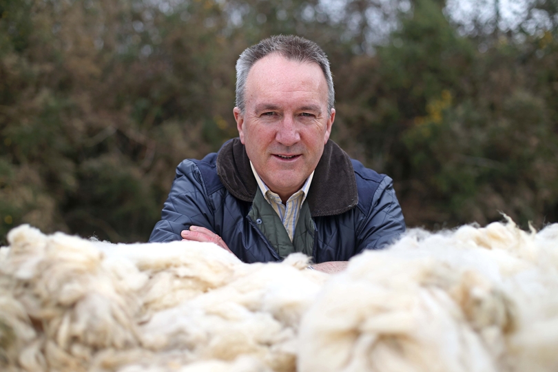 Farmers encouraged to utilise improving wool markets
