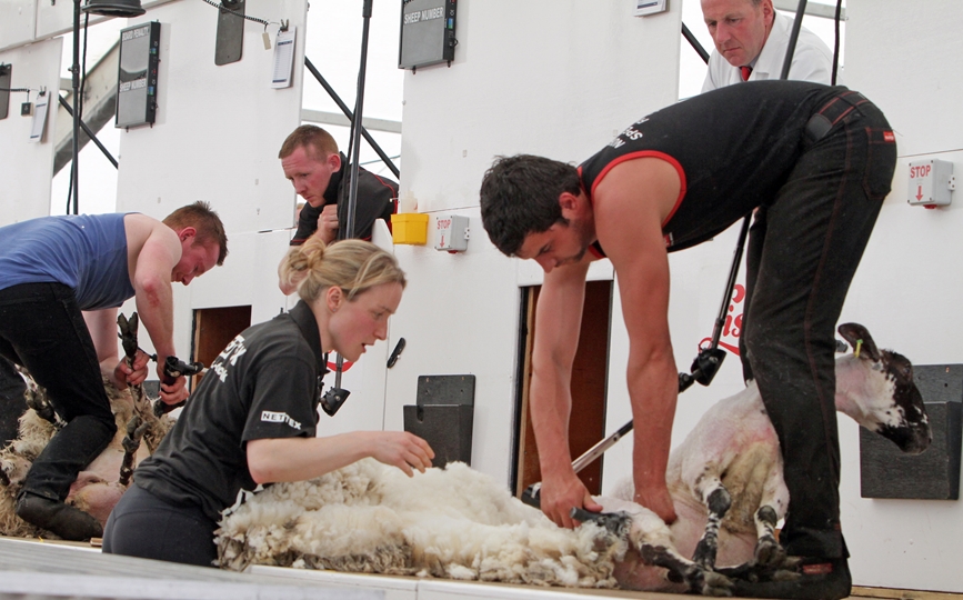 Training and hard work pays off for Northern Ireland Young Farmer