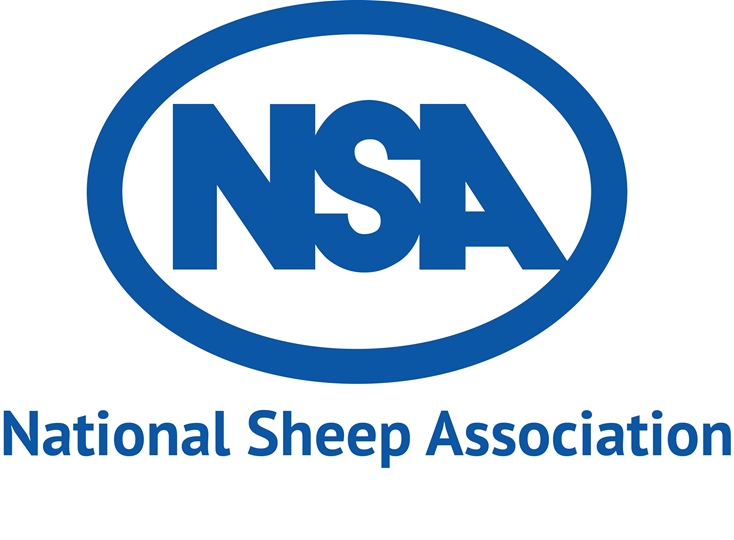 NSA share essential messages as world climate spotlight comes to UK