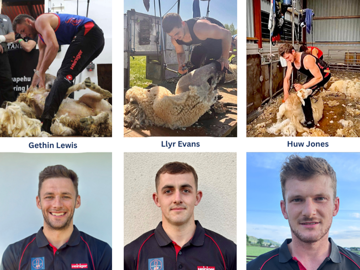 Shear Brilliance of Welsh shearers record attempts