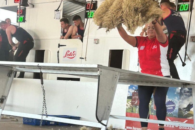 Wool Handling Blog with Rachel Murphy