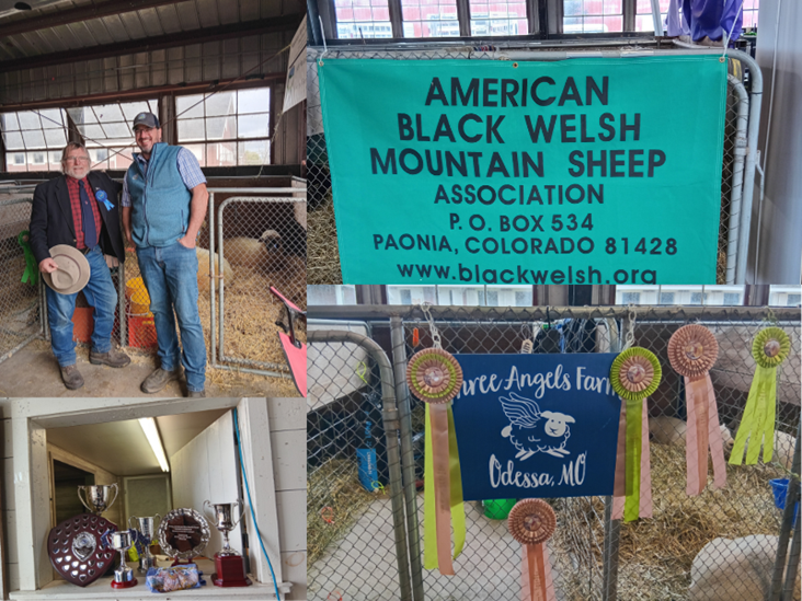 Board Member Richard Spencer Judges in the USA