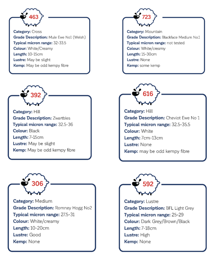 Debunking Wool Grades