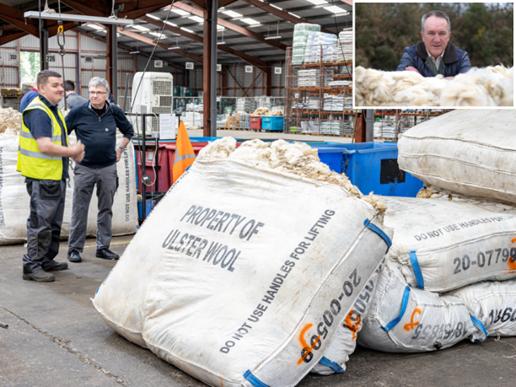 Wool price at seven seven-year high