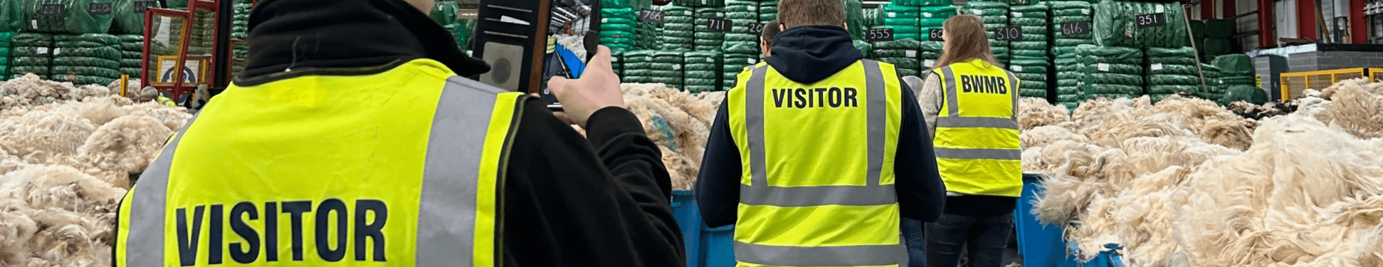 wool processing